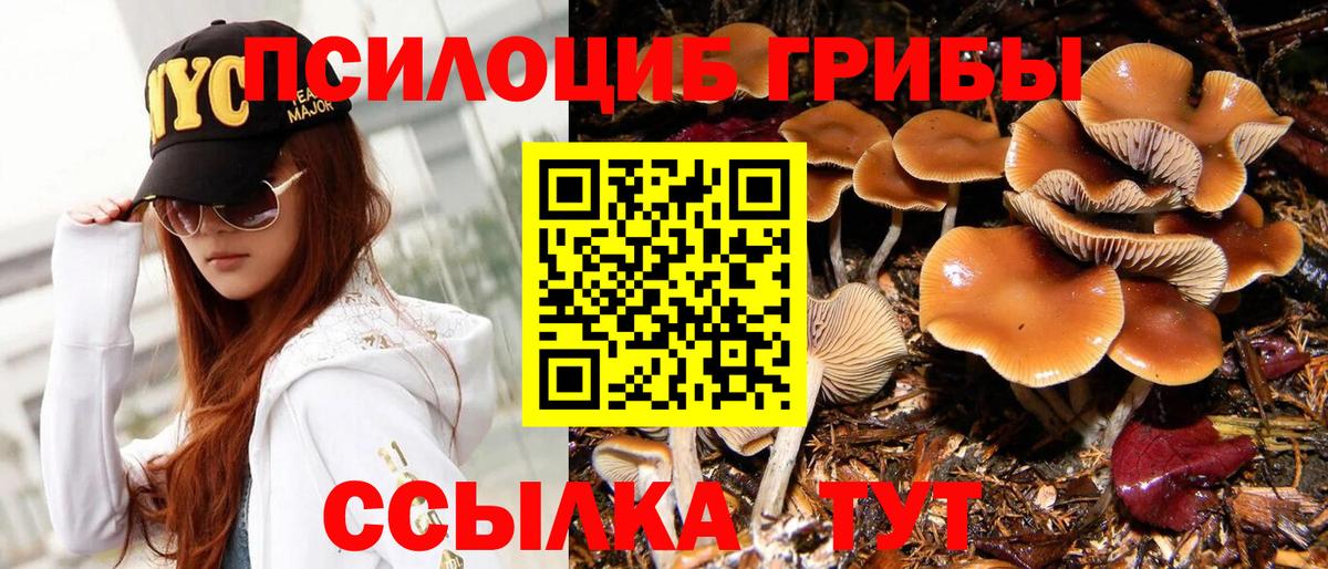 Галлюциногенные грибы MAGIC MUSHROOMS  Вход с VPN  Галлюциногенные грибы Cubensis  Изобильный 
